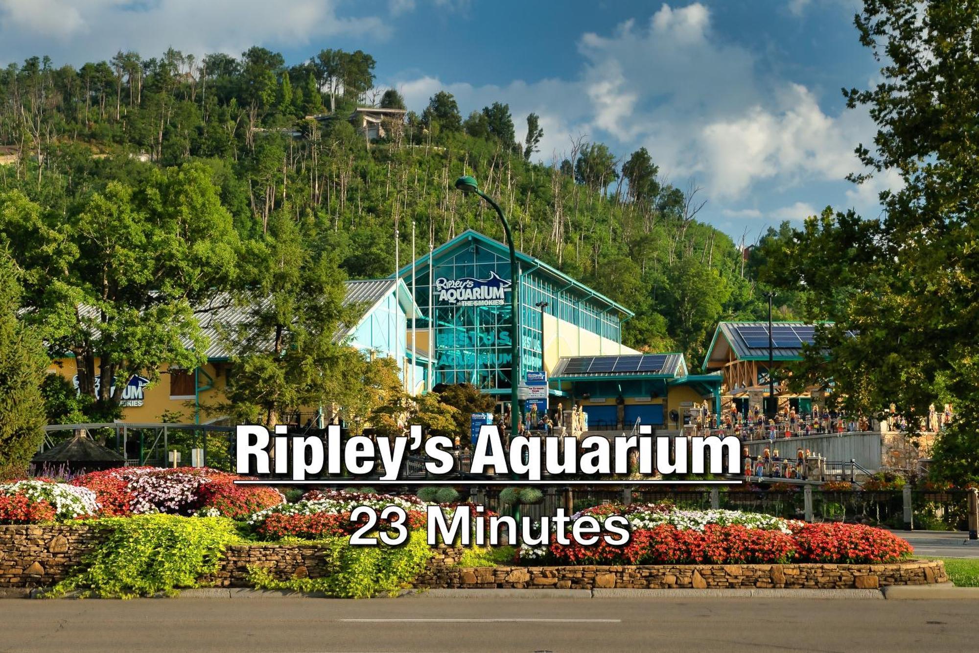 New Luxury Cabin With Stunning Mountainviews,Hottub, Firepit, Fireplace,2 Kingbeds, 2 Covereddecks,Bbqgrill, Shuffleboard And Pool Access Sevierville Esterno foto